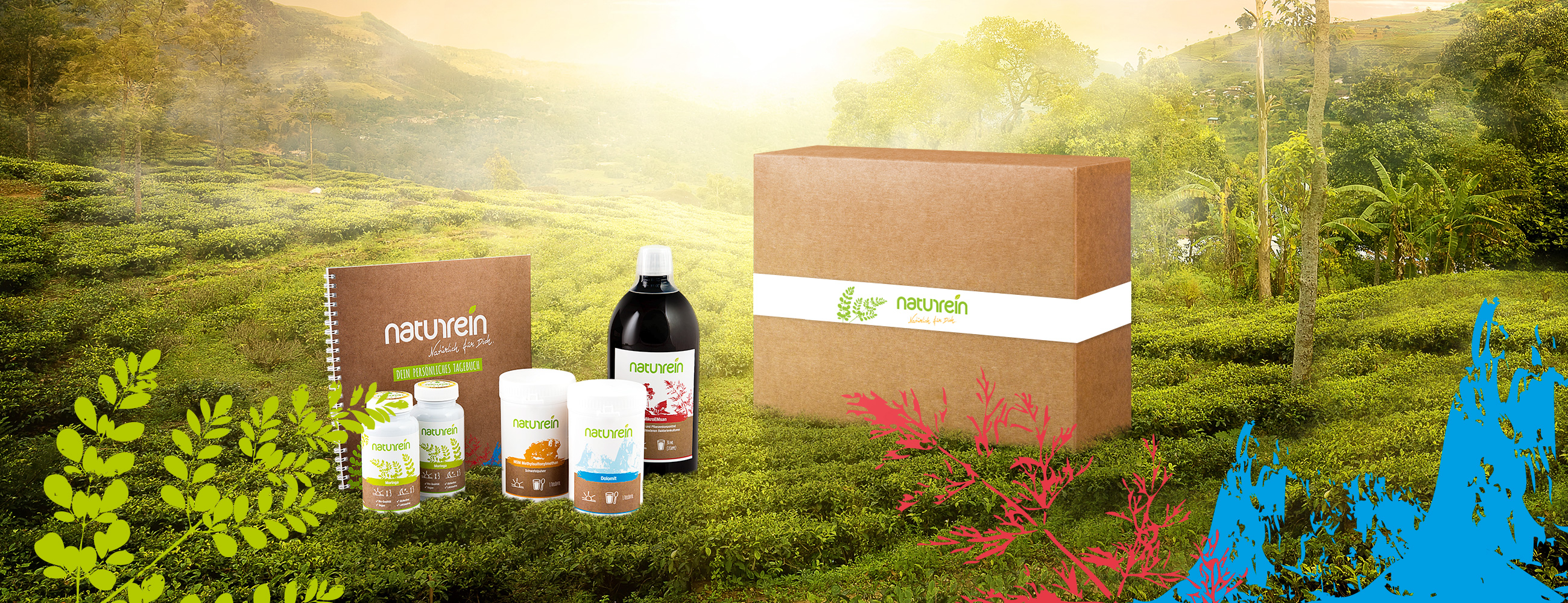 Moringa Marke Naturrein